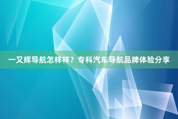 一又辉导航怎样样？专科汽车导航品牌体验分享