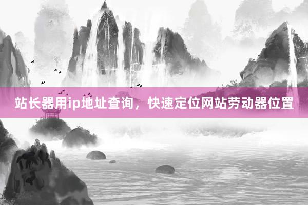 站长器用ip地址查询,快速定位网站劳动器位置